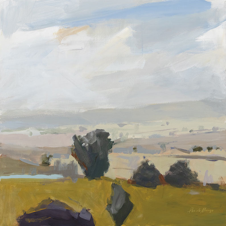 View Of the Valley
