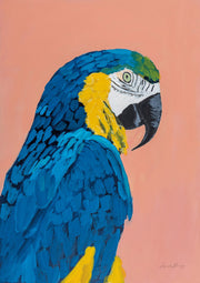 Painting of a blue and gold macaw in profile against a coral pink background