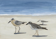 Painting of three sandpipers on a sandy beach with blue ocean and waves behind them