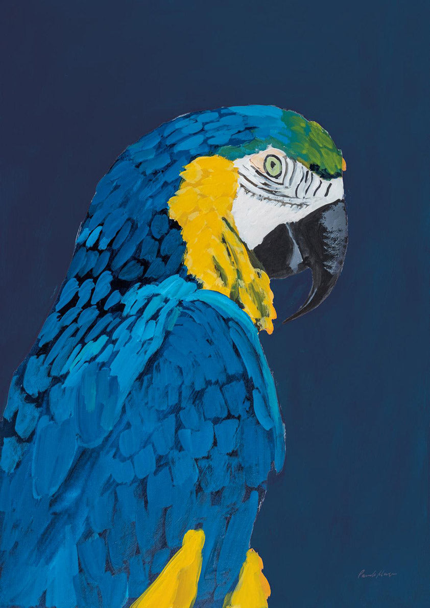 Painted portrait of a blue and gold macaw against a navy background