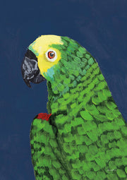 Painted close-up of a green parrot's head and neck against a navy background