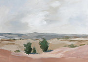 Arid