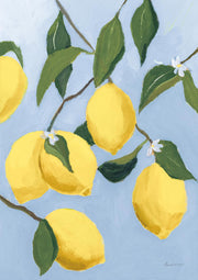 Lemon Tree Light