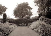 Sepia photograph of a wooden bench on a garden path flanked by flowers, hedges, and a large tree