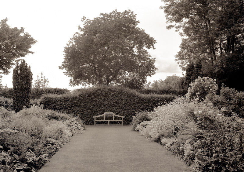 Sepia photograph of a wooden bench on a garden path flanked by flowers, hedges, and a large tree