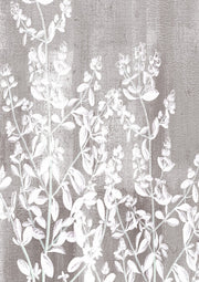 White and sage botanical stems on a textured grey background