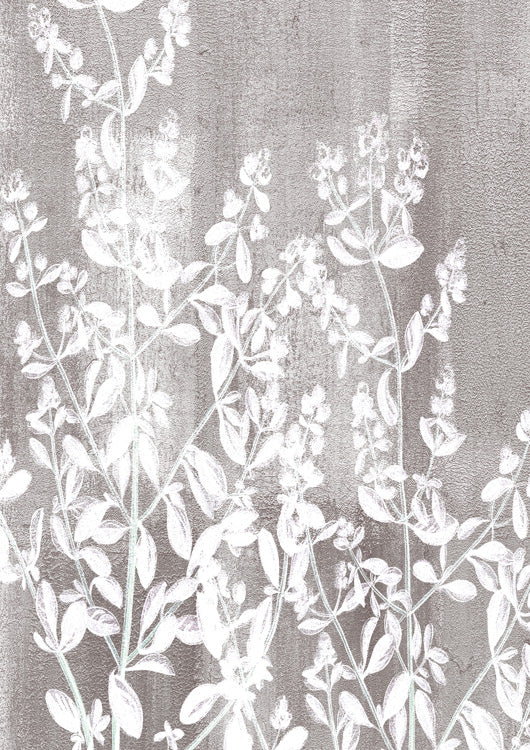 Calmness Botanical 1