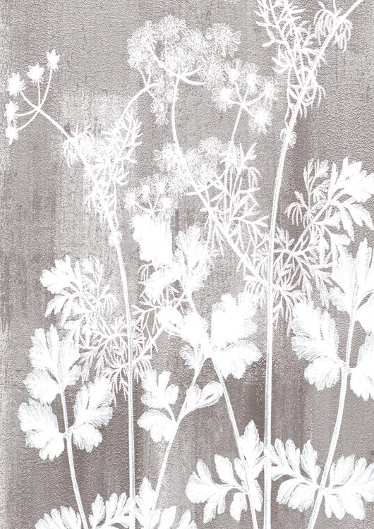 Calmness Botanical 2
