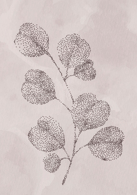 Spotted Gum Calm 3