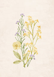 Watercolour painting of yellow wildflowers and lavender clusters on a cream background