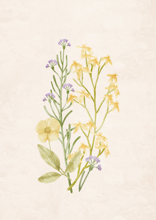 Wildflowers 1