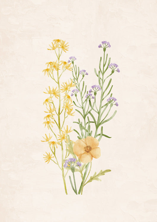 Wildflowers 2