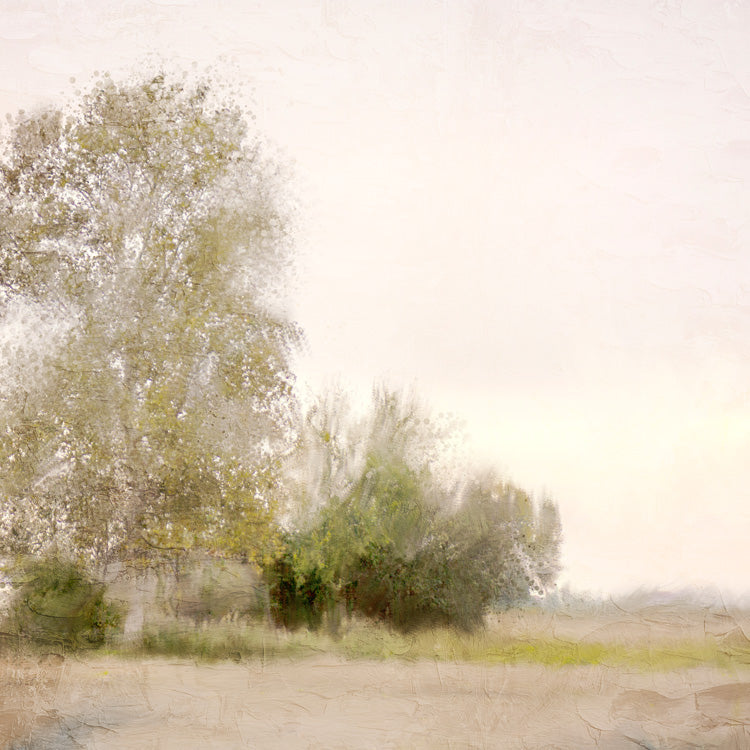 Countryside