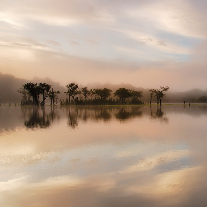 Misty dawn landscape with silhouetted trees reflected in still lake water under a pastel sky