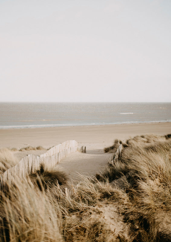Sandy dune path with wooden fencing leading to the beach, framed by golden grass and pale sky.