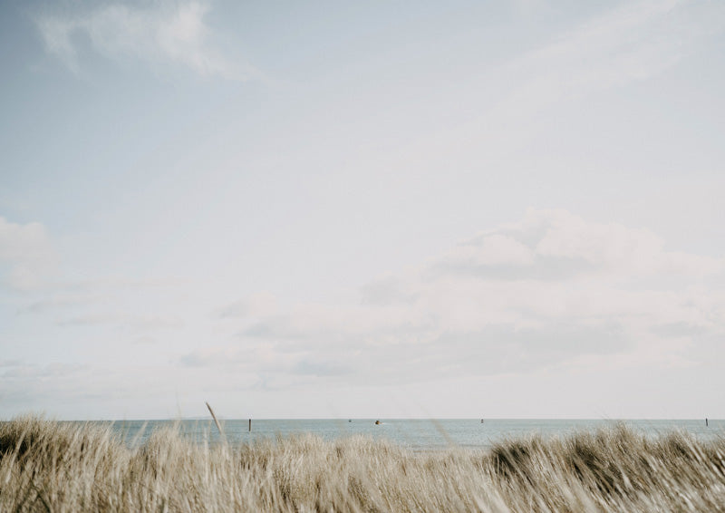Photograph of dune grass with a pale sky and thin ocean horizon line