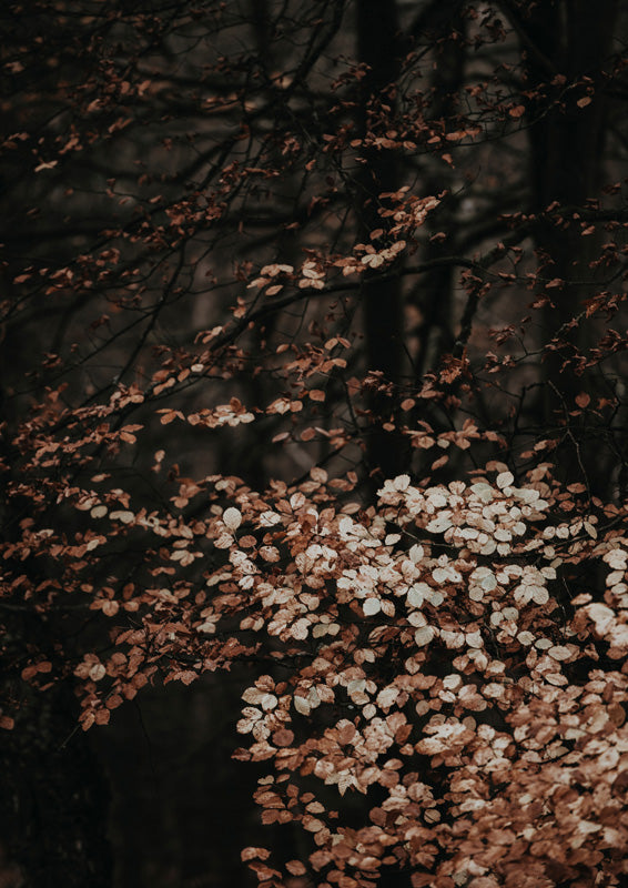 Bare branches with dried cream and brown autumn leaves against a dark forest backdrop