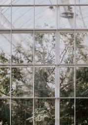 Grid of greenhouse glass panels with weathered surfaces and blurred foliage visible behind.