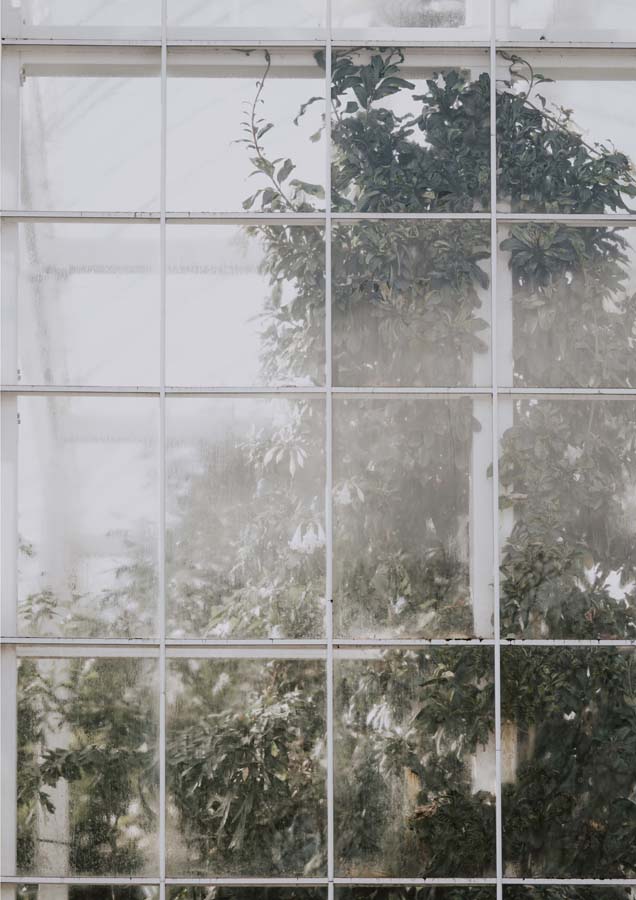 Green House 2
