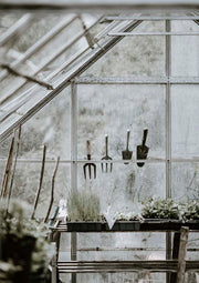 Weathered greenhouse interior with hanging garden tools and potted seedlings