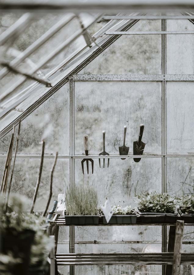 Weathered greenhouse interior with hanging garden tools and potted seedlings