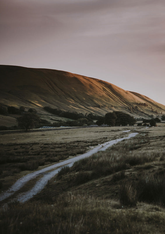 A trail winding through grassland toward a hillside lit gold at dusk