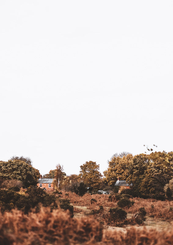 Brick farmhouses among autumn trees with rust scrub and pale sky