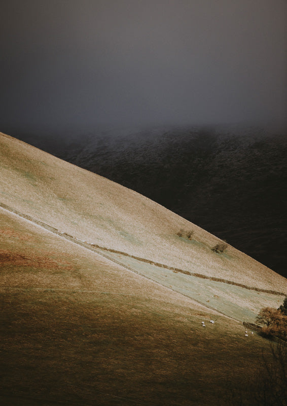 Moody photograph of a grassy hillside with a stone wall and grazing sheep under misty sky
