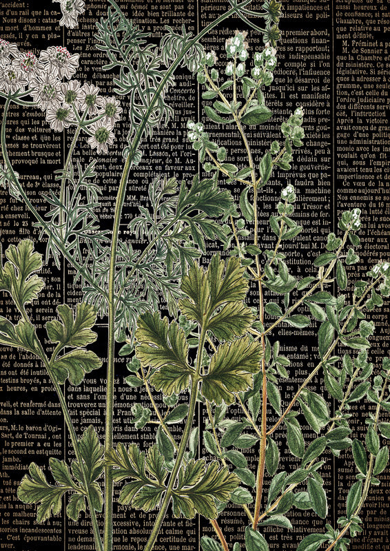 Botanical Newspaper 1