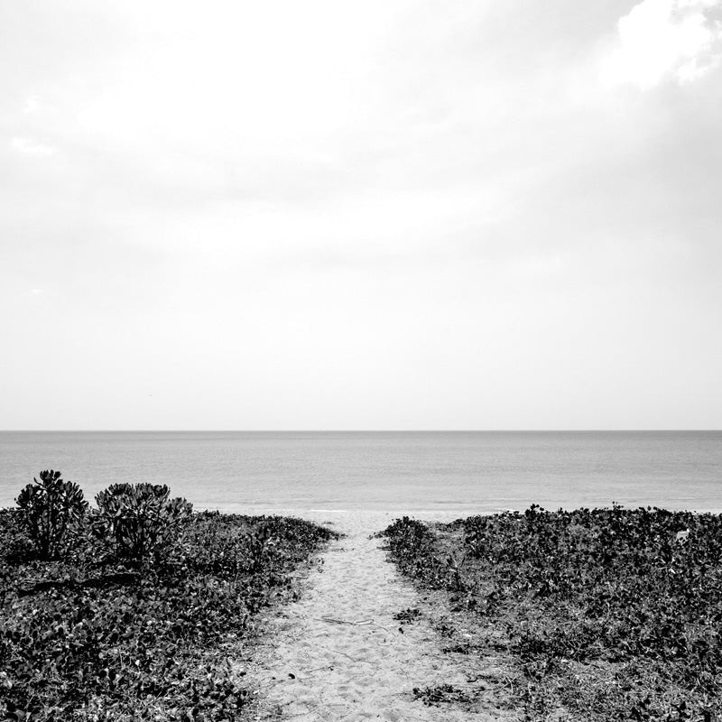 Beach Black And White