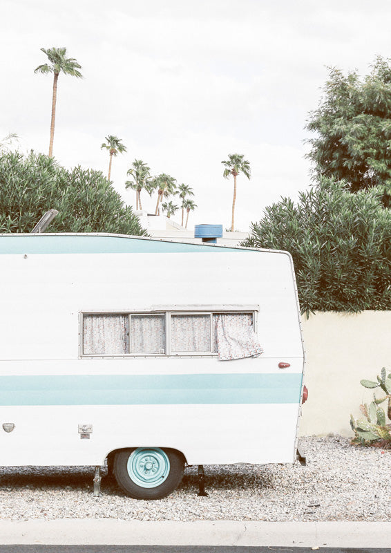 Vintage white and teal caravan parked beneath palm trees with a cactus nearby