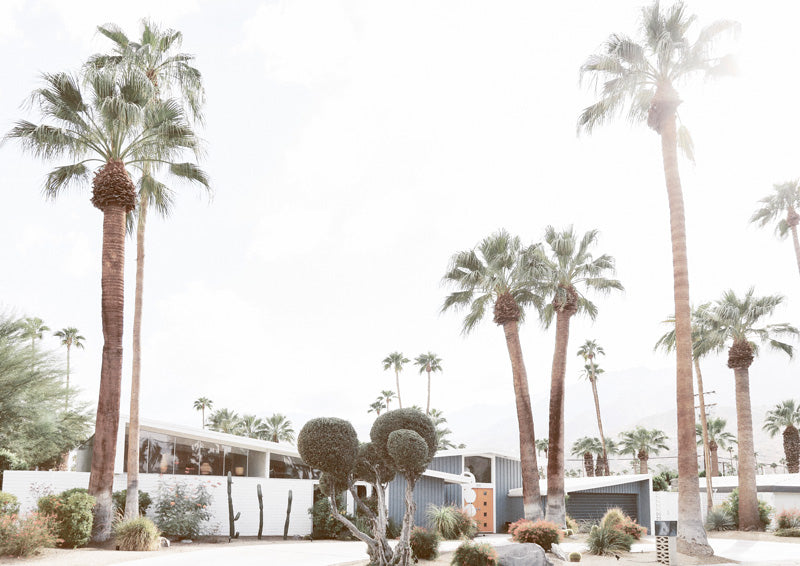 Tall palm trees line a mid-century building with blue and white walls under a pale sky