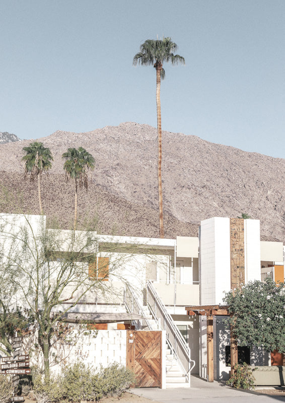Palm trees against desert mountains beside a white mid-century Palm Springs building