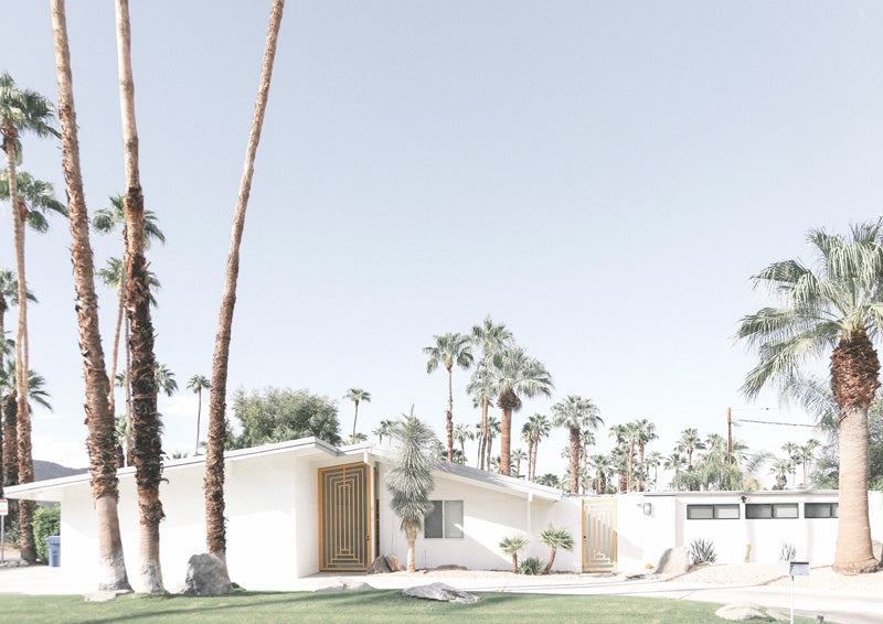 Photo of a white mid-century house with a gold door screen among palm trees and desert plants.