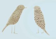 Two speckled birds drawn in profile on a pale blue background