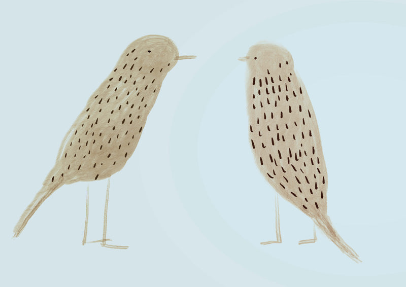 Birds 2