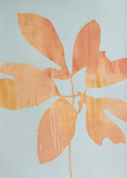Shadow Leaf