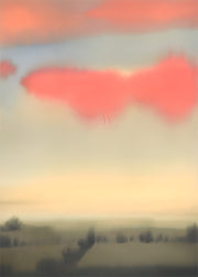 Coral Haze