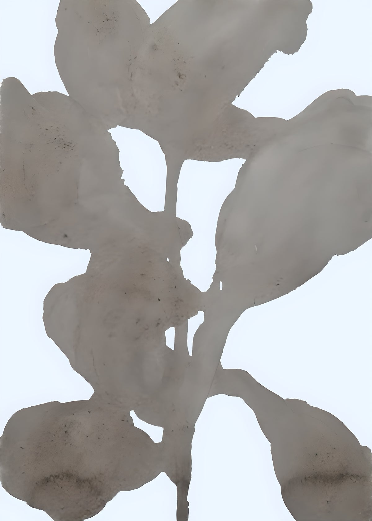 Taupe grey leaf shapes overlapping along a central stem on a pale blue-white background