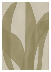 Olive Form