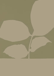 Olive Grove