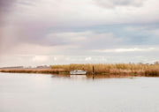 Small white boat moored by golden reeds on calm water under an overcast sky