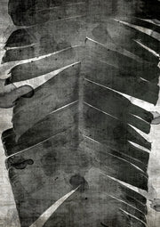 Palm Expression 1