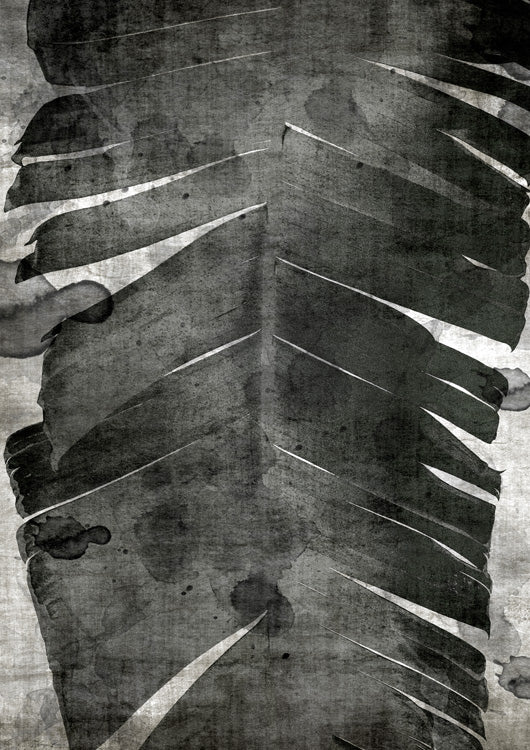 Palm Expression 1
