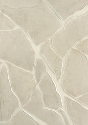 White Trace