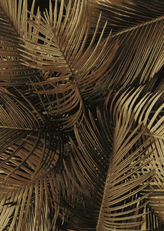 Close-up of golden bronze palm fronds against a dark background