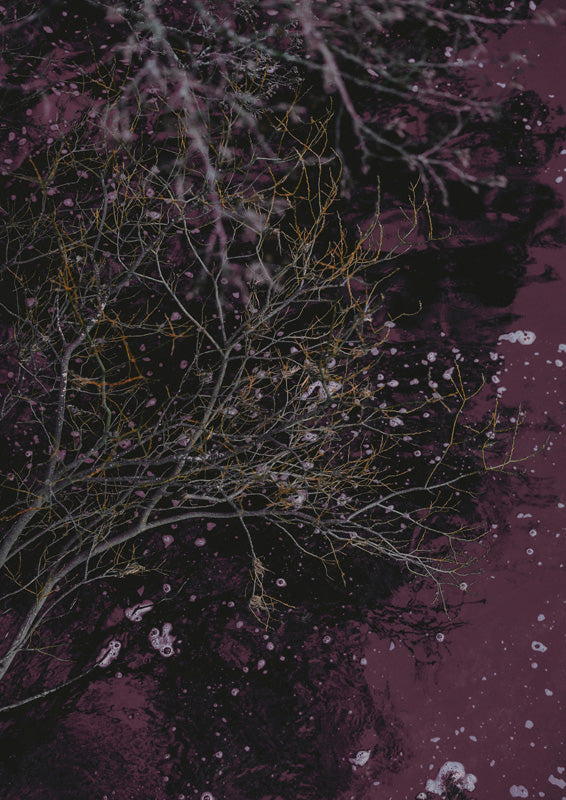 River Of Wine