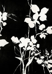 Black and white painting of branches, leaves and wildflowers silhouetted on a black background.