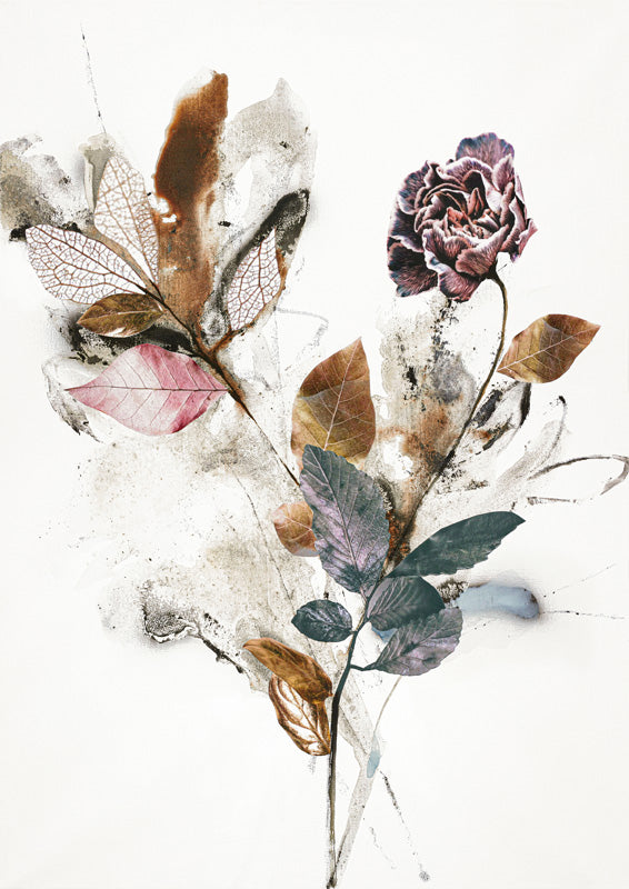 Botanical collage of skeletal leaves, dried foliage and a painted flower on white background