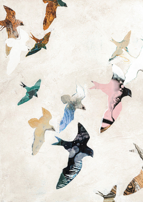 Bird silhouettes in varied colours and patterns fly across a textured off-white background
